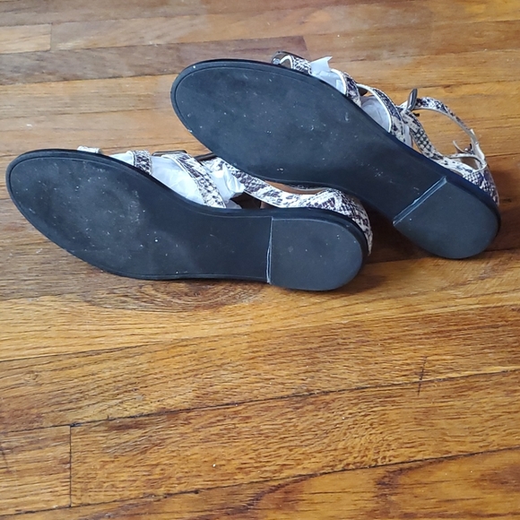 Calvin Klein Python Gladiator Sandal - Picture 8 of 10